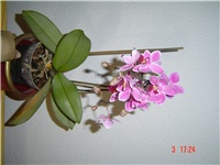 94c4f582-DSC00193.JPG