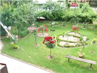9550578c-DSC07253.JPG