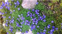 9581660f-P_20180407_152541.jpg
