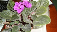 95ba4d73-DSC00131.JPG