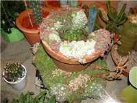 95e6f593-IMG_2747.jpg