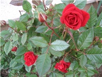 965fea26-IMG_3889.jpg