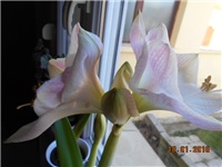 972912ad-DSCN2594.JPG