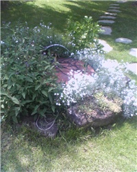 97aea3c6-IMG0165A.jpg