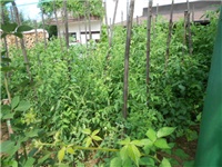 98277de5-DSCN0973.JPG
