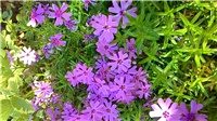 98c0f8db-P_20180422_103858.jpg