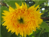 99f41185-IMG_0048.JPG