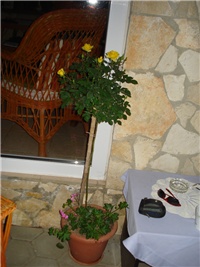 9a4d6bfa-DSC07899.JPG