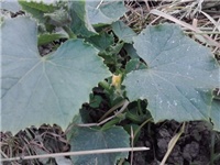 9accfed1-P070514_15.37.jpg