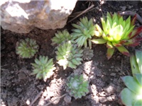 9b49172e-DSCN0643.JPG