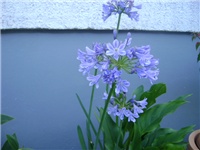 9b7222fd-DSC01889.JPG