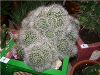 9bc150d0-IMG_2715.jpg