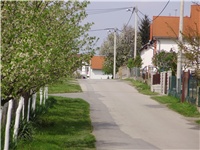 9cb8fb90-P2100002.JPG