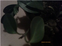 9cd1fee4-PTDC0120.JPG
