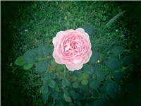 9ceeb200-IMG_0381.jpg