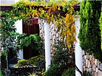 9d6e9b74-DSC06909.JPG