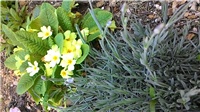 9d939af1-P_20180407_152521.jpg