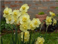 9ddfaa76-P1010281.JPG