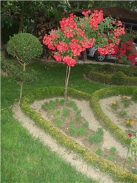 9de0c7ef-DSC09158.JPG