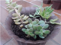 9eeaf0c9-P170514_18.27.jpg
