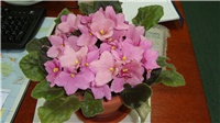 9f33fc56-DSC00130.JPG