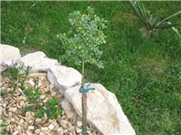 9fa3816b-ponedjeljak_010.jpg