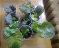 9fdc24ee-sshot-2013-01-05-19-14-52.jpg