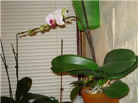 9ff8a1a0-DSC06847.JPG
