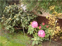 a02b70d5-rd02.jpg