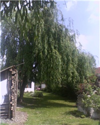 a068c67c-IMG0179A.jpg