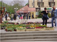 a080acd2-P2150007.JPG