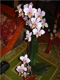 a0df7096-DSC09061.JPG