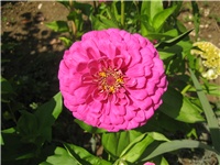 a137948a-IMG_4380.jpg
