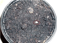 a1a0ccba-DSCI0024.JPG