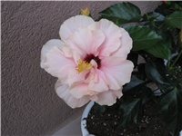 a24548bd-IMG_0636.JPG