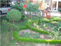 a297d7c3-DSC08098.JPG
