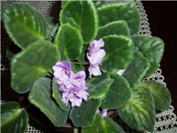 a2acc034-P1010166a.jpg