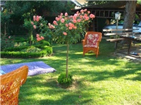 a2ed9d5c-DSC08101.JPG