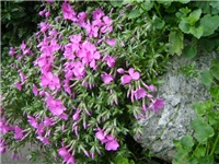 a557ac37-DSC01739.JPG