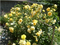 a5679a19-P1010024.JPG