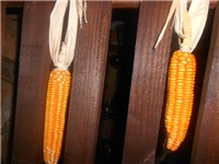 a58055a7-DSCN2012.JPG