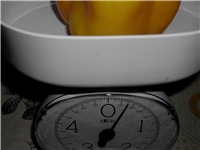 a6d75ce4-DSCI0018.JPG