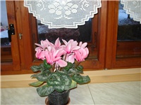 a8beb42d-DSC05463.JPG