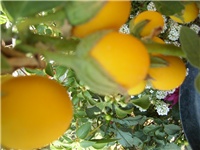 a9da0bd5-SL732709.JPG