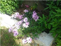 aa1051af-20140510_153641.jpg