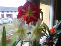 aa4577c4-DSCN2657.JPG