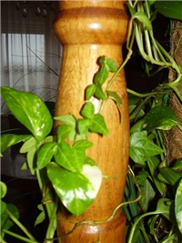 aa6a0de7-P1130107.JPG