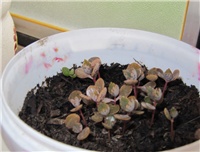 aa6f2d7c-sshot-2012-10-25-12-02-24.jpg