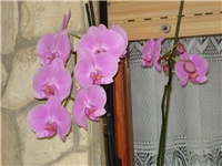 aa9bdd85-DSC06298.JPG
