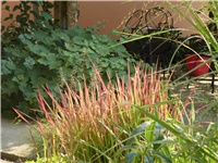 aaaab343-P1040187.JPG